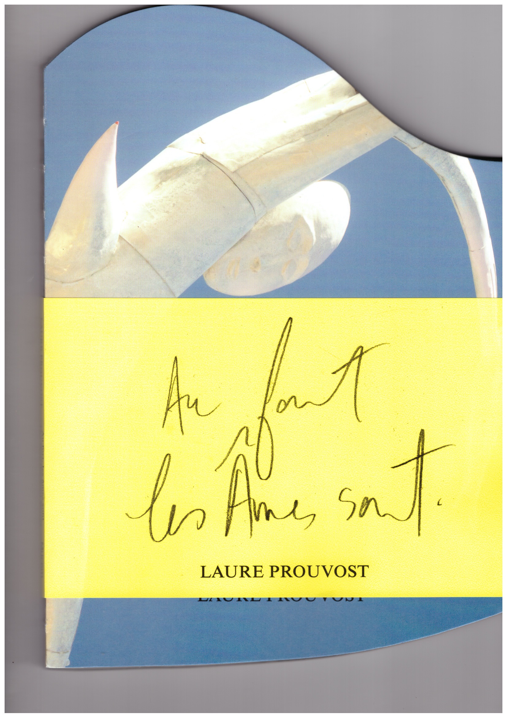 PROUVOST, Laure - Au fort les âmes sont